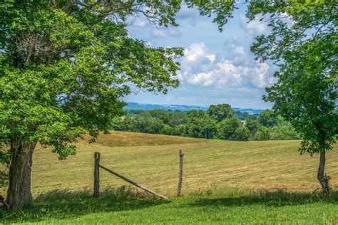 The Hayfield | Hayfield, Landscape, Country roads