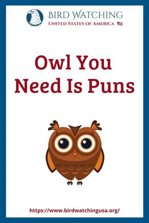 60+ Funny Owl Puns & Pictures to Make You Smile!