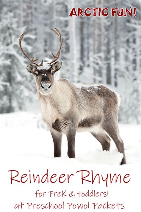 Reindeer Action Rhyme Song | Preschool Powol Packets