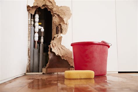 5 Tips for Water Damage Restoration - Robillard Plumbing