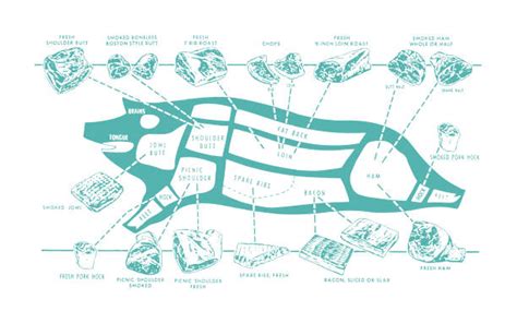 340+ Pig Butcher Chart Stock Illustrations, Royalty-Free Vector ...
