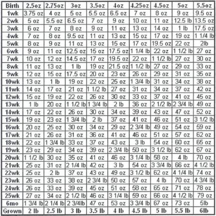 Chihuahua Growth Chart - I Love You Chihuahua's