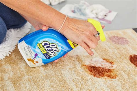 The 7 Best Carpet Spray Cleaners of 2023, Tested and Reviewed