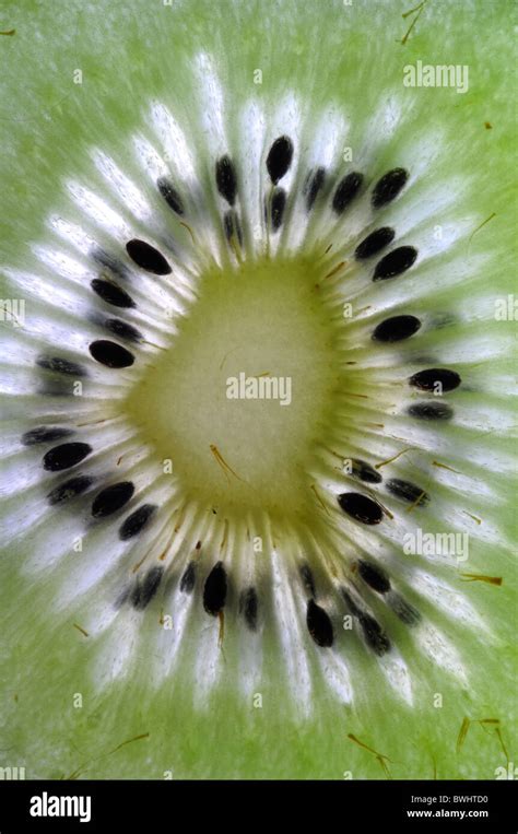 Section of kiwi fruit showing black seeds. October 2010 Stock Photo - Alamy