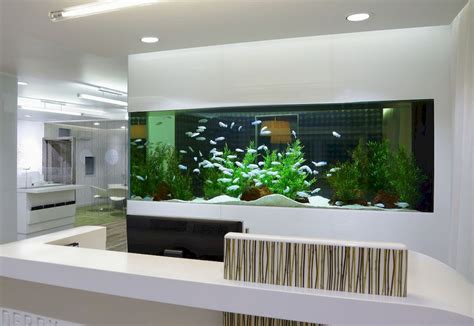 6 Best Wall Mounted Aquarium 2024: Review & Buyer's Guide