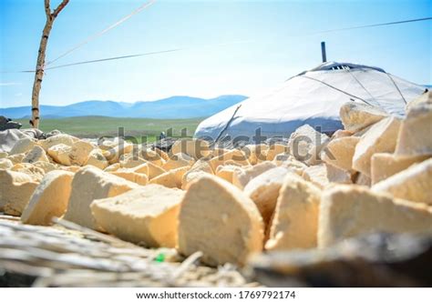 Mongolian Dairy Product Aaruul Curd Made Stock Photo 1769792174 ...