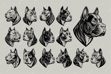 Premium Vector | A series of drawings of dogs and their heads