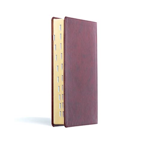 KJV Rainbow Study Bible, Burgundy LeatherTouch, Indexed - B&H Publishing