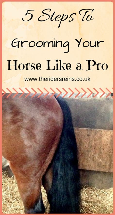 5 Steps To Grooming Your Horse Like A Professional! | Horse riding tips, Horse care tips ...