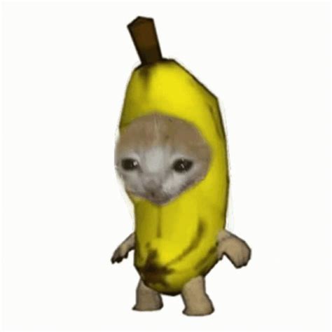 Banana Cat GIF – Banana Cat – Ищите GIF-файлы и обменивайтесь ими - 2023 | 고양이 그림, 영감을 주는 캐릭터, 웃긴 밈