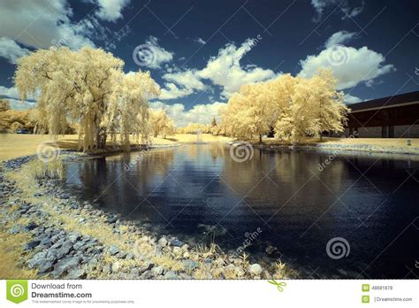 Park stock photo. Image of floodplain, outdoors, waterway - 48681878