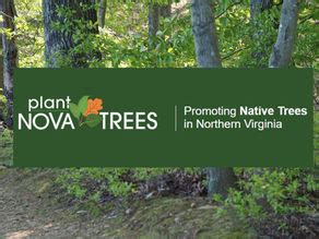 Campaign Updates | Plant NOVA Natives | Northern Virginia