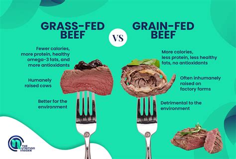 Grass Fed vs Grain Fed: Which Beef is Best? - The Nutrition Insider