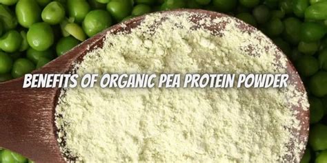 7 Benefits of Organic Pea Protein Powder - Gadgetflazz.Com