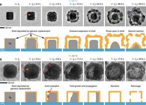 Direct observation of the nanoscale Kirkendall effect during liquid heating in TEM | Hummingbird ...