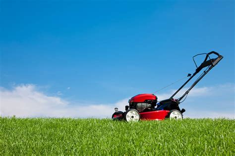 How Much Does It Cost To Rent A Lawn Mower? [Is Buying One Cheaper?]