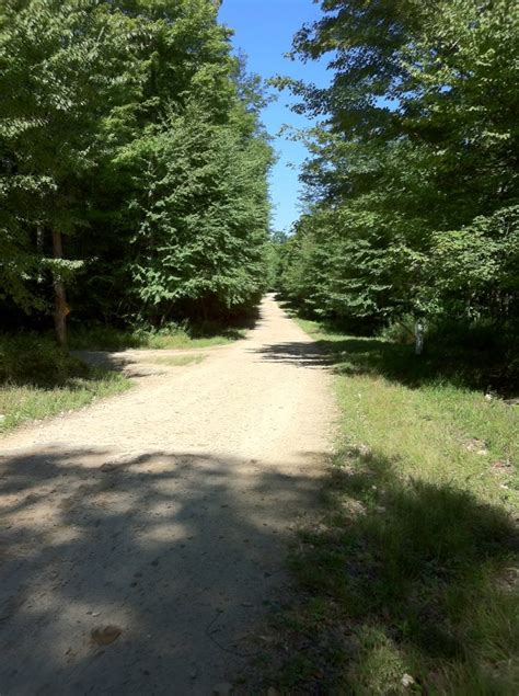 Timberline ATV Trail Marienville ATV Trail Review - OffroadRver.com