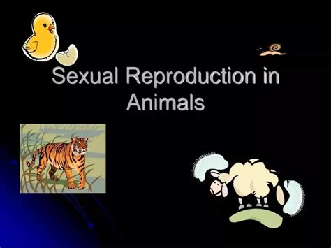 PPT - Sexual Reproduction in Animals PowerPoint Presentation, free ...