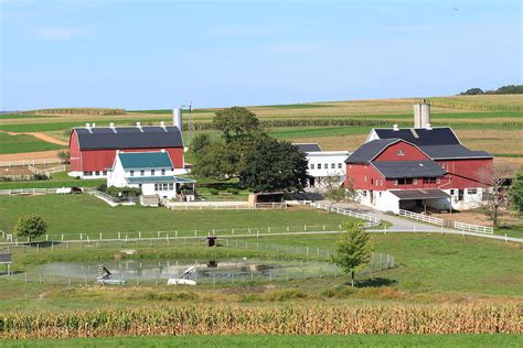 Amish Farm Photograph by Lou Ford