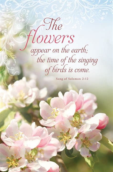 Pin by Felicia Frausto on Bible verses | Song of solomon, Flowers ...