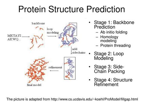 PPT - Protein Structure PowerPoint Presentation, free download - ID:890554