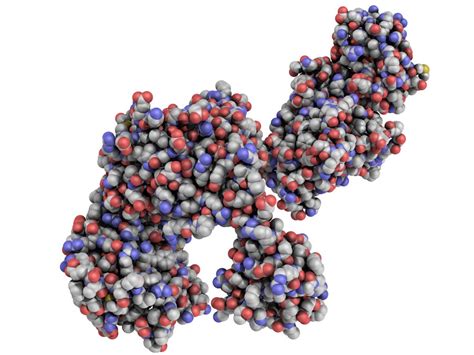 Taq polymerase PCR enzyme | ToxicoGenomica