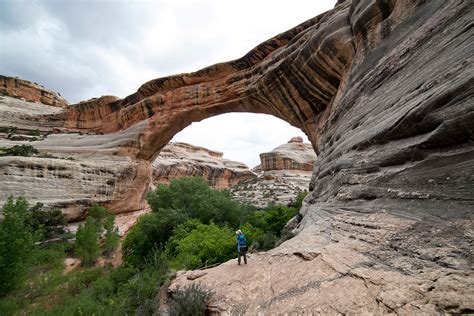 Natural Bridges National Monument | Things to Do | Bluff Dwellings