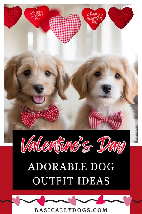 10 Adorable Dog Valentine's Day Outfits and Accessories You'll Love - Basically Dogs