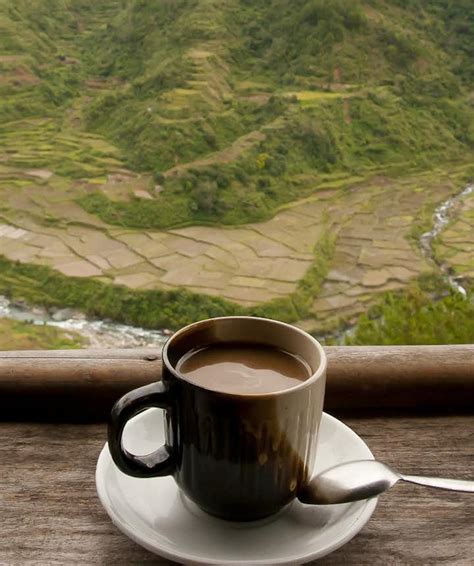 Guide to Coffee in the Philippines and Must-Visit Local Coffee Shops | Guide to the Philippines