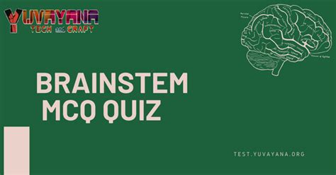 Anatomy – Brainstem MCQ Quiz