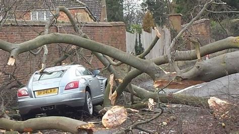 UK storm: Damage across counties in the East - BBC News