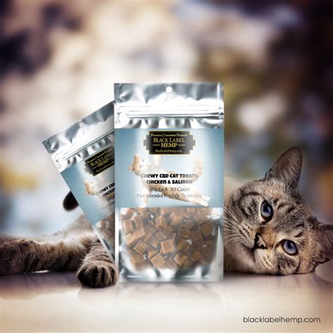 Chewy CBD Cat Treats | CBD For Cats – Black Label Hemp