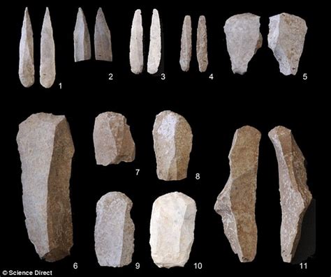 Humans DIDN'T bully Neanderthals to extinction, claims study | Daily ...