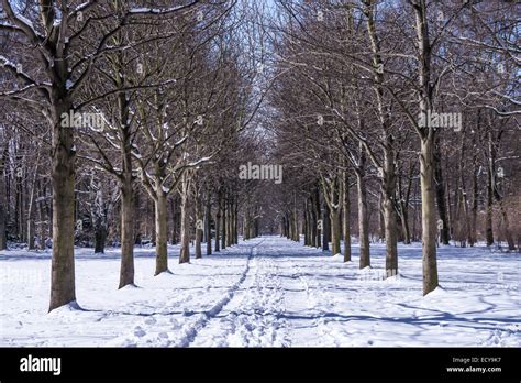 Berlin tiergarten in winter snow hi-res stock photography and images ...