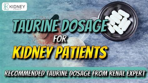 Expert Advice On Taurine Dosage For Kidney Patients | Recommended Taurine Intake - YouTube