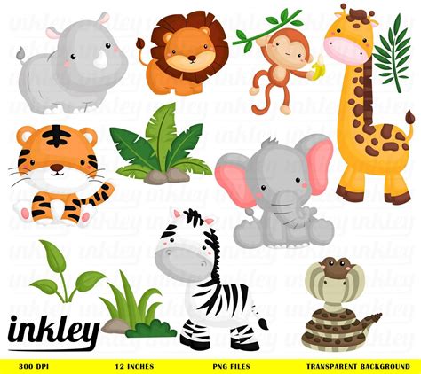 Jungle Animal ClipartJungle Clip Art Jungle Animal Png | Etsy ...