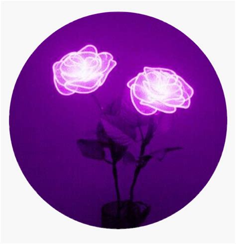 #aesthetic #tumblr #purple #circle - Purple Aesthetics, HD Png Download ...