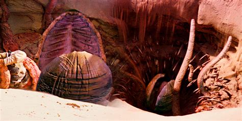 Star Wars: 5 Gruesome Facts About the Sarlacc's Body