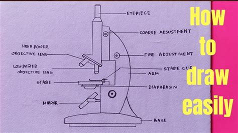 How To Draw A Microscope - Statementpresentation5