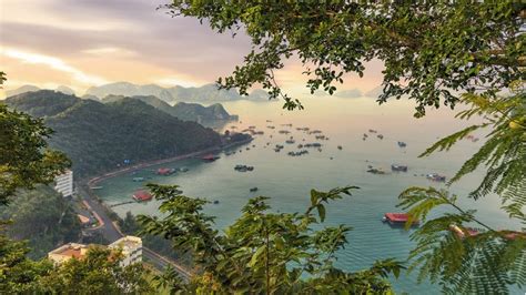 Cat Ba Island, Vietnam: The Complete Guide [Updated 2023]