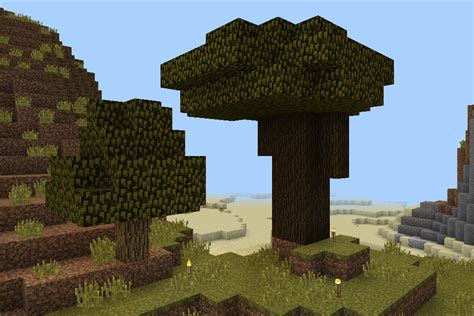 Dark Oak Trees | Minecraft Bedrock Wiki | FANDOM powered by Wikia