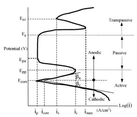 polarization curve corrosion