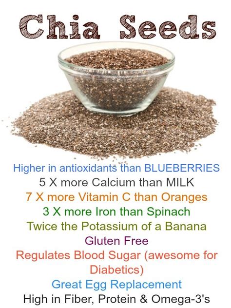 Warrior Bootcamp Penang Malaysia : Benefits of Chia Seeds - The Superfood