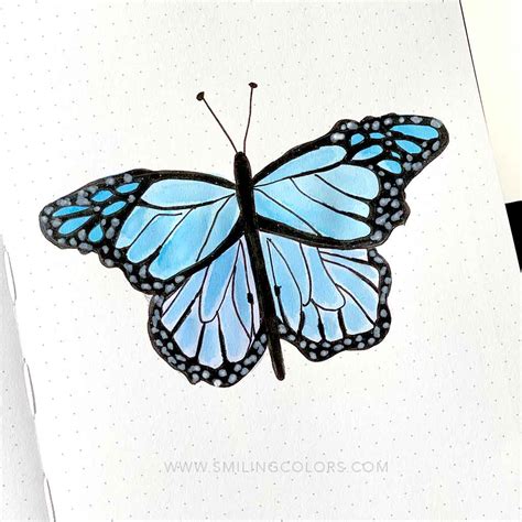 How To Draw A Butterfly Step By Step For Beginners