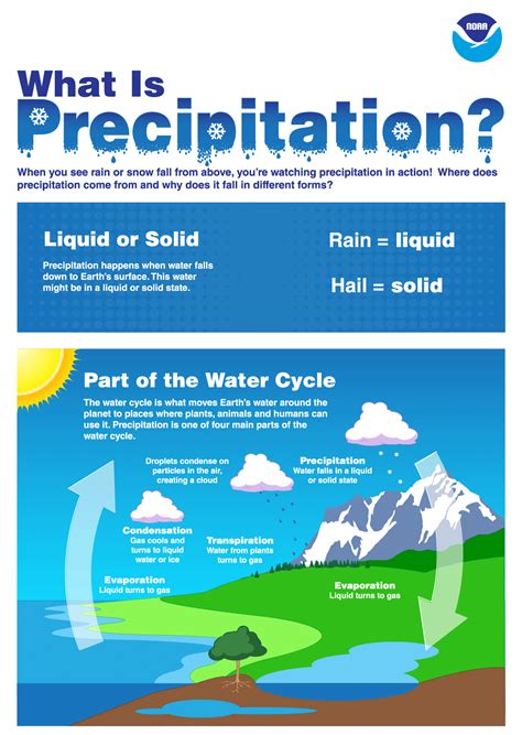 What Is Precipitation? | NOAA SciJinks – All About Weather in 2020 | Precipitation, Weather and ...