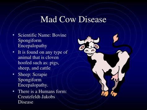 Mad Cow Disease In South Carolina 2024 - Anny Malina