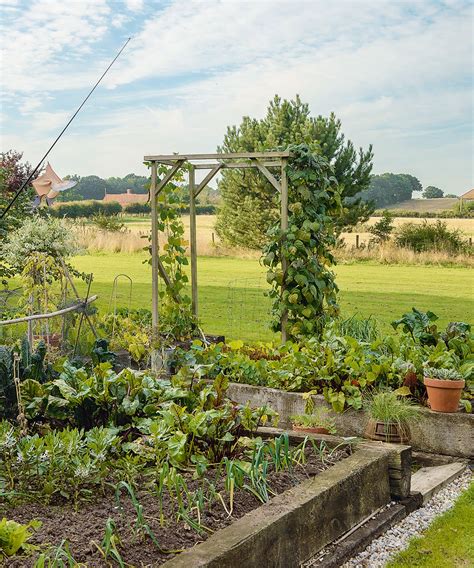 Vegetables to grow in shade: 10 best crops for shady spots | Homes & Gardens