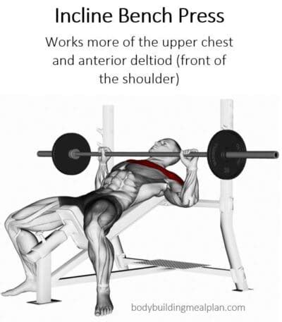 Incline Smith Machine Press: My New Favorite Chest Exercise