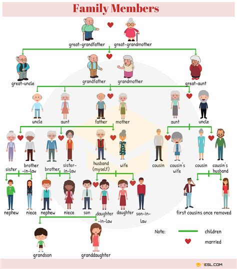 Members of the Family Vocabulary in English - ESLBUZZ