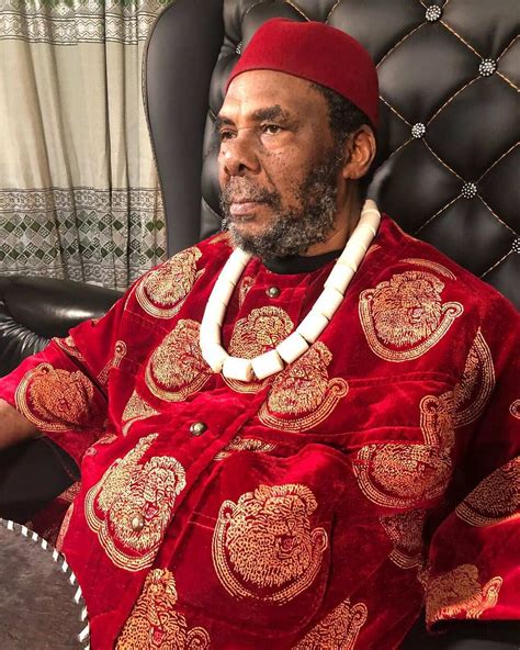 Actor Pete Edochie Biography: age, wife, children, net worth, movies Legit.ng